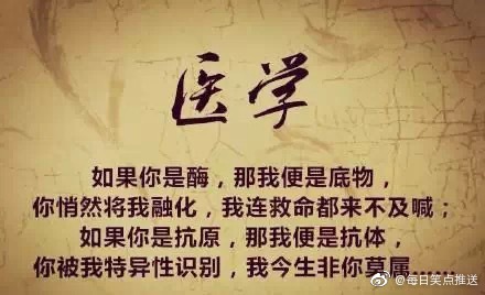 各专业520表白情话表情包：我以爱之名，判你无期徒刑