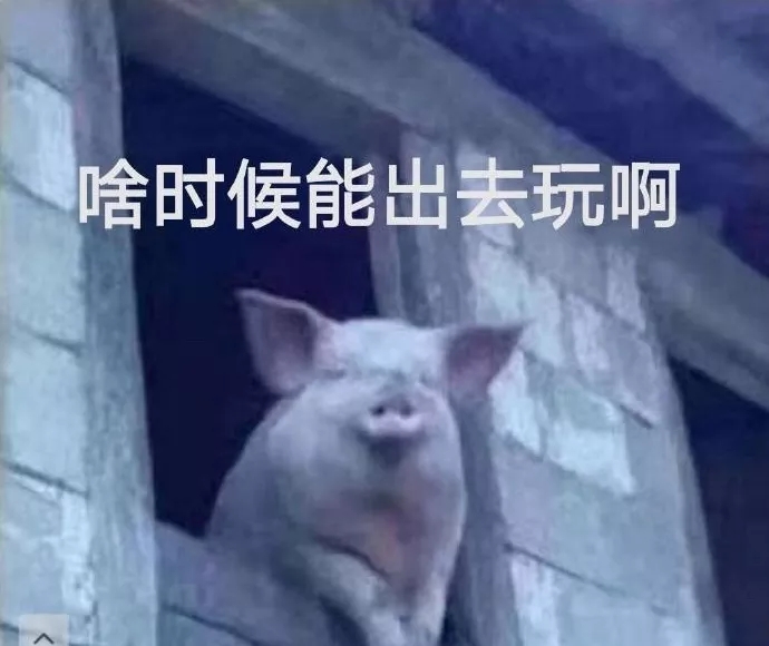 表情包：我什么时候才能出的去