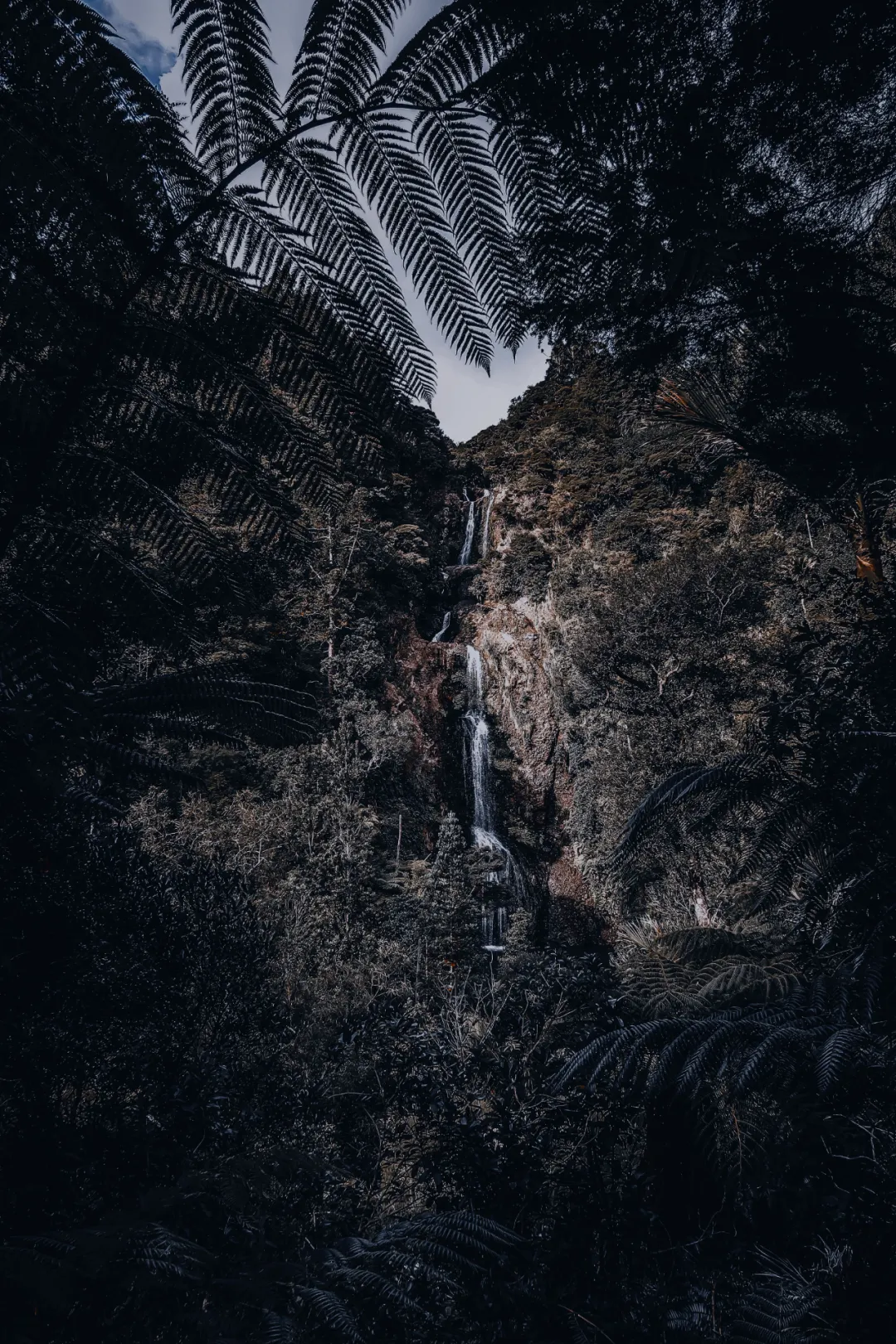 ins最新暗黑风格再来一波