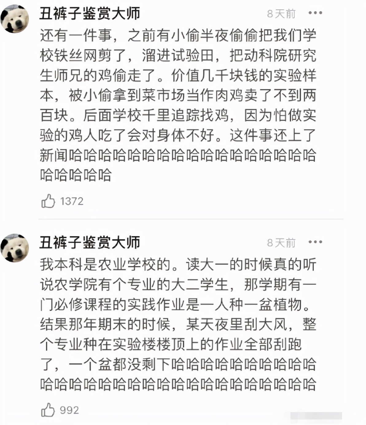农学生挂科理由有多奇葩？西瓜被偷不算啥，油菜花被吹折太好笑了