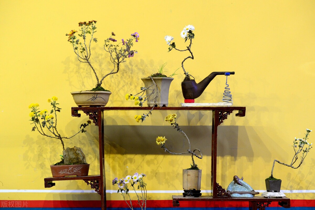 2011北京高考听力真题（33）