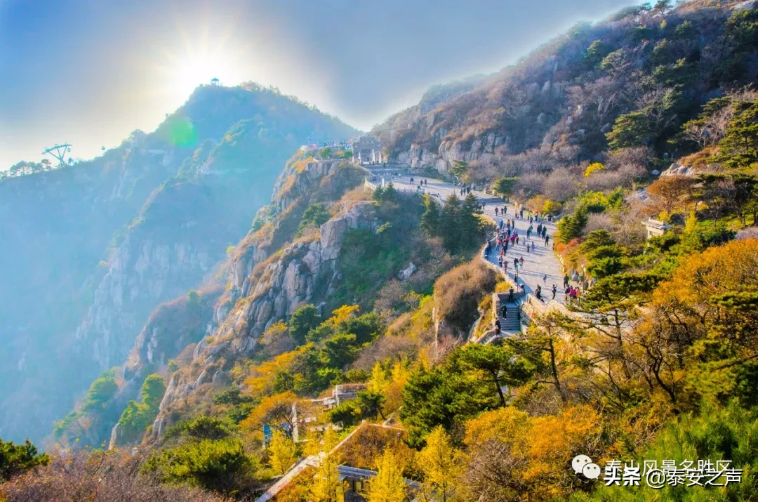 深秋泰山：一年好景君须记，最是橙黄橘绿时