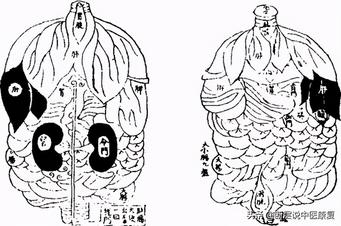 这位中国道士绘制了世界上第一幅人体解剖图