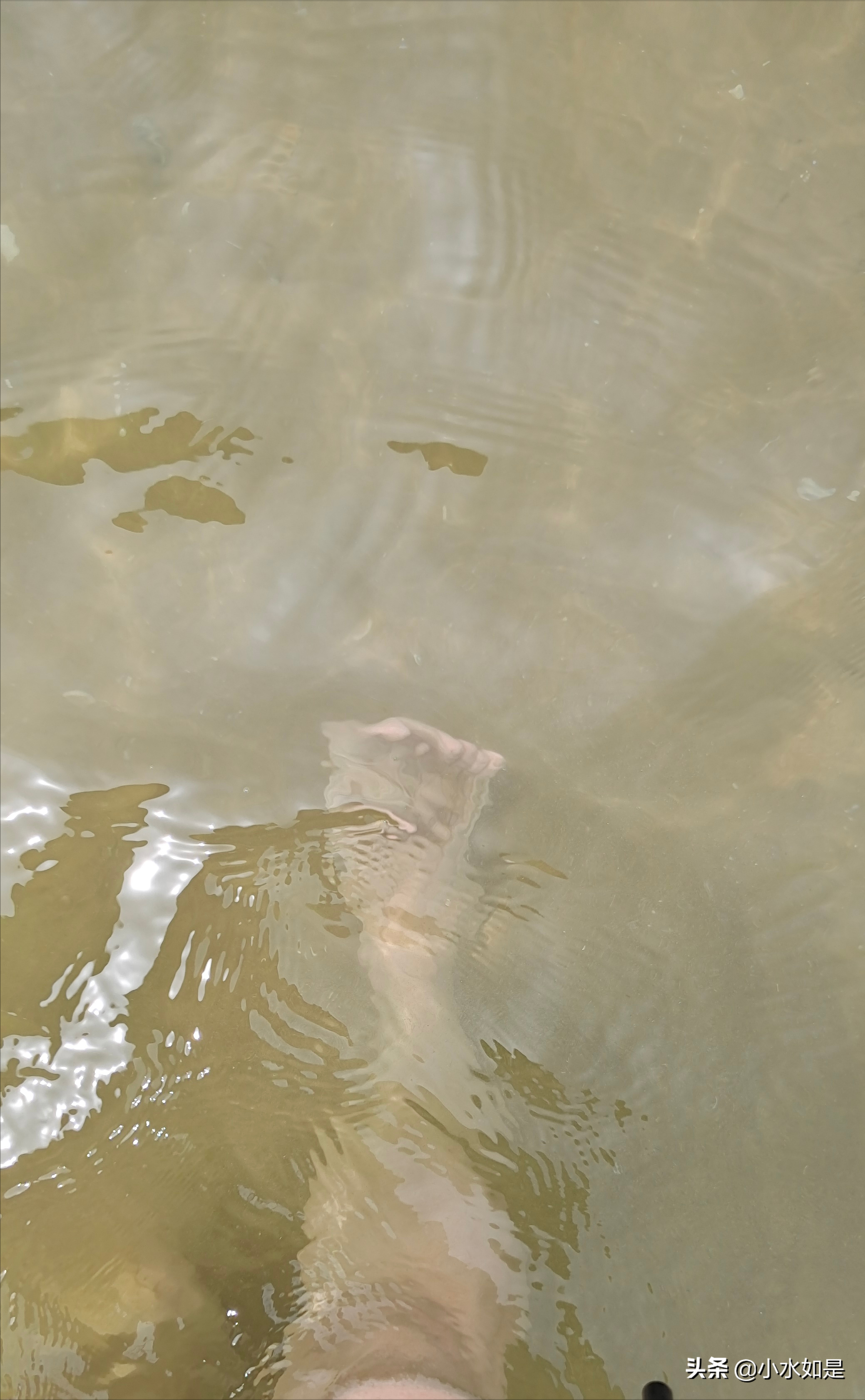 这个暑假，到东戴河去玩海吧！（附个人攻略）