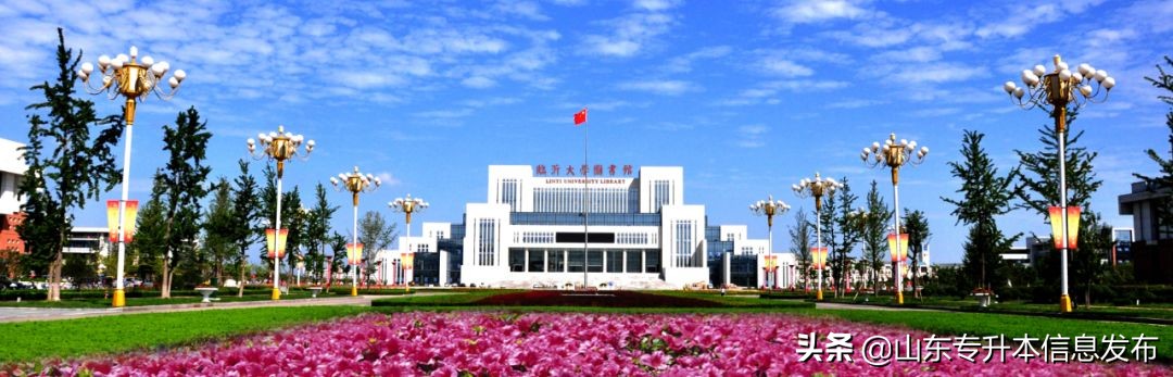 山东专升本各专业对应招考院校分析---计算机科学与技术