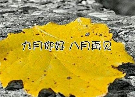 八月再见图片(再见八月) - 赤虎壹号