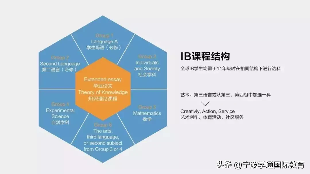详细解读！国际学校AP、IB、A-Level三大课程体系对比分析