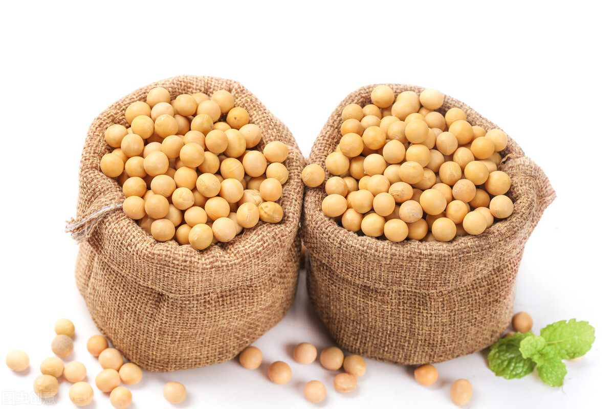 猪价、毛鸡价格猛跌，饲料价格跌150元/吨，玉米、大豆要崩？