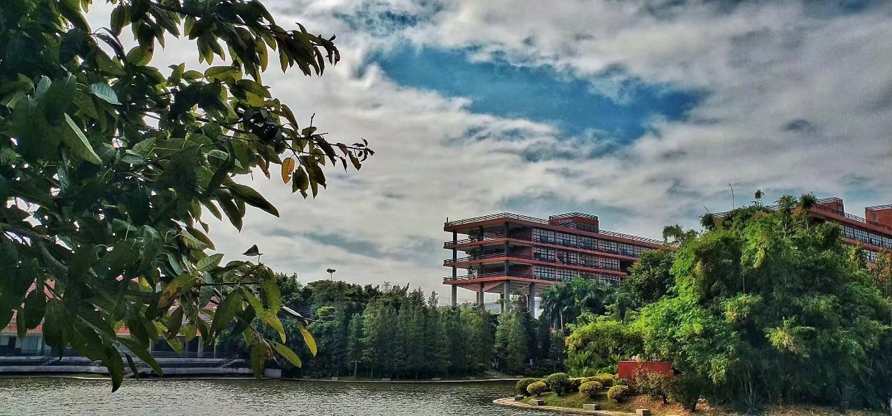 2020年中国十大美院