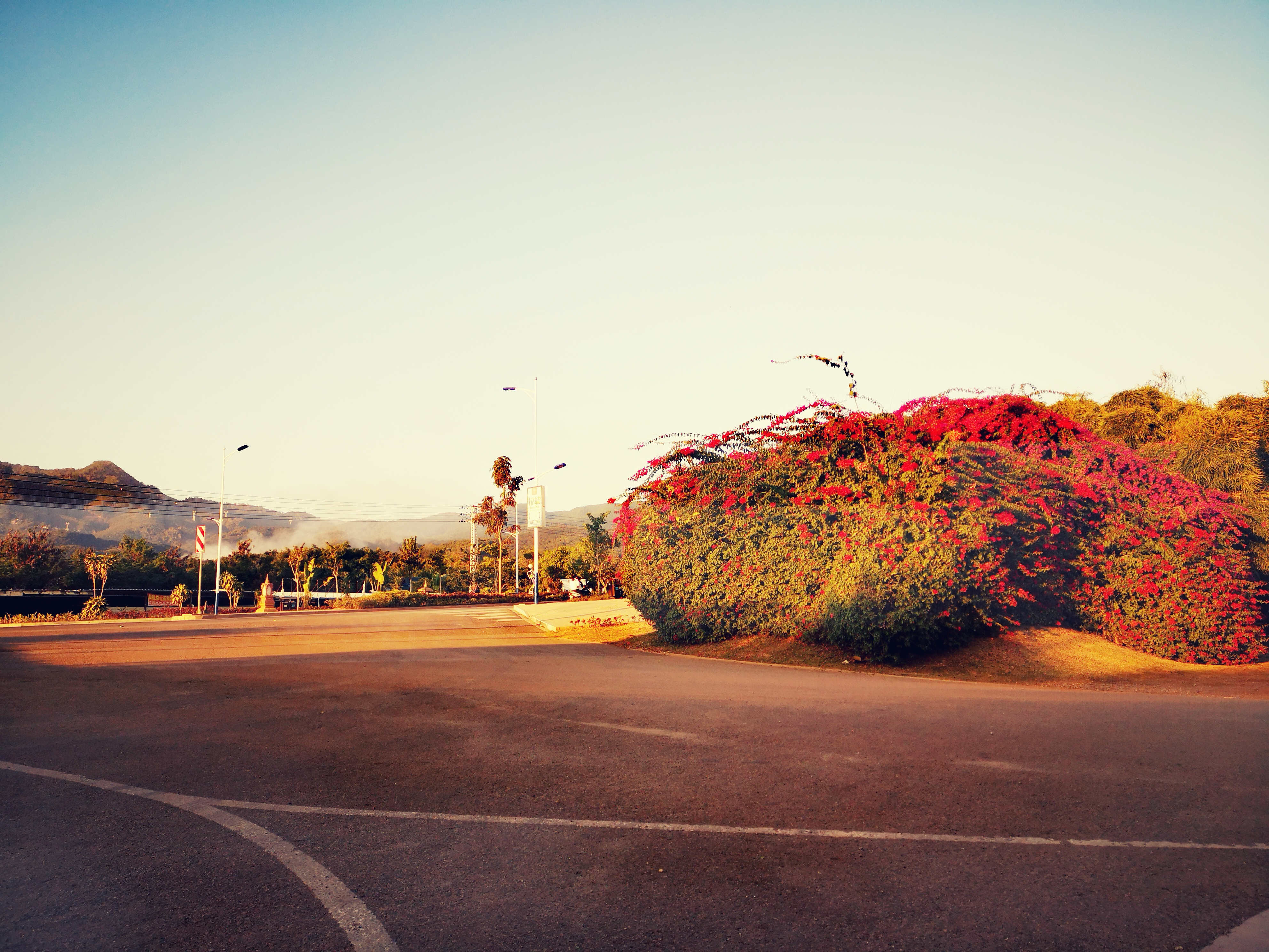 西双版纳8天9晚2600元，中科院热带植物园最详细攻略看这一篇就够