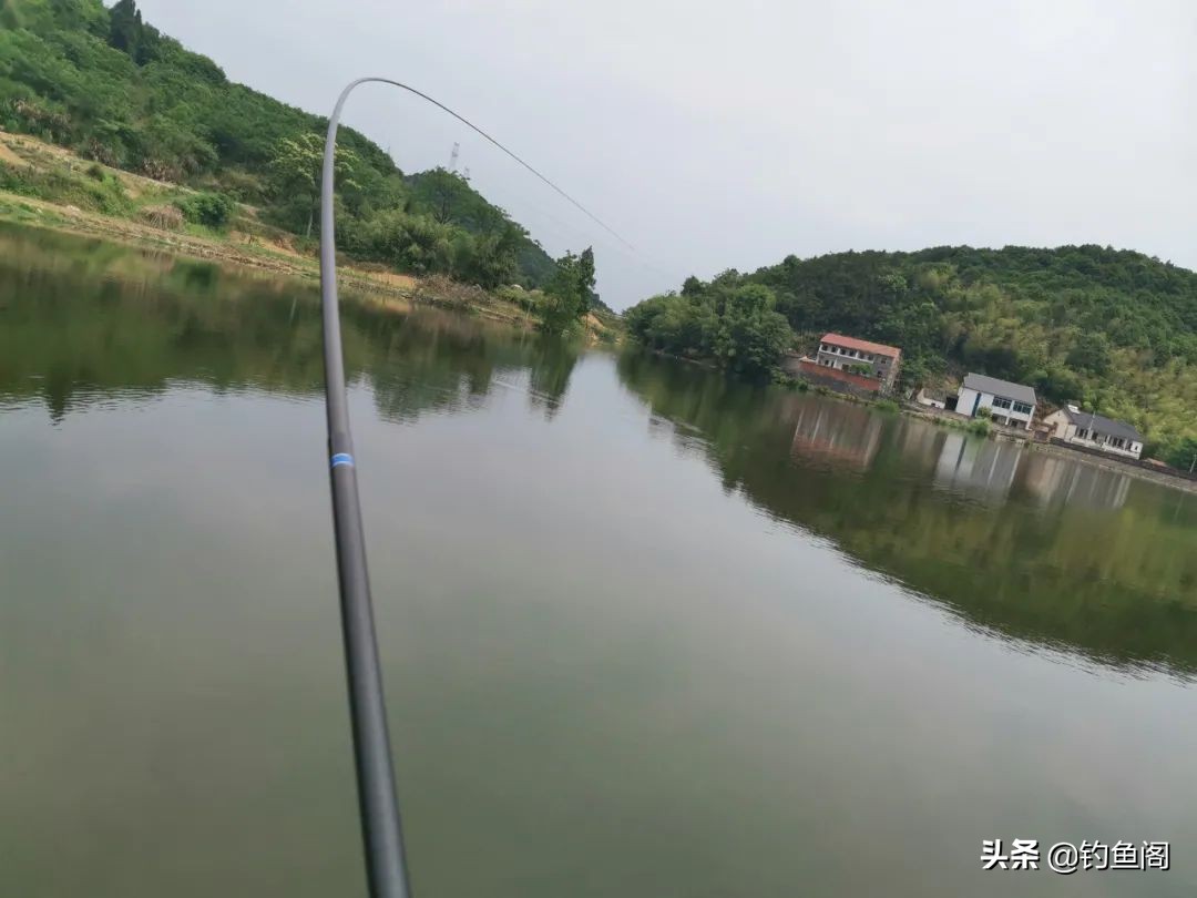 买了几十只鱼竿总结出的经验，通过“三看一抖”，快速鉴别好坏