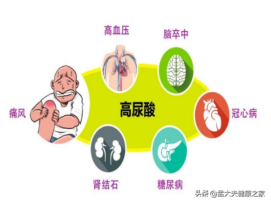 尿酸高怎么办？科学降尿酸方法与生活调理指南助你恢复健康