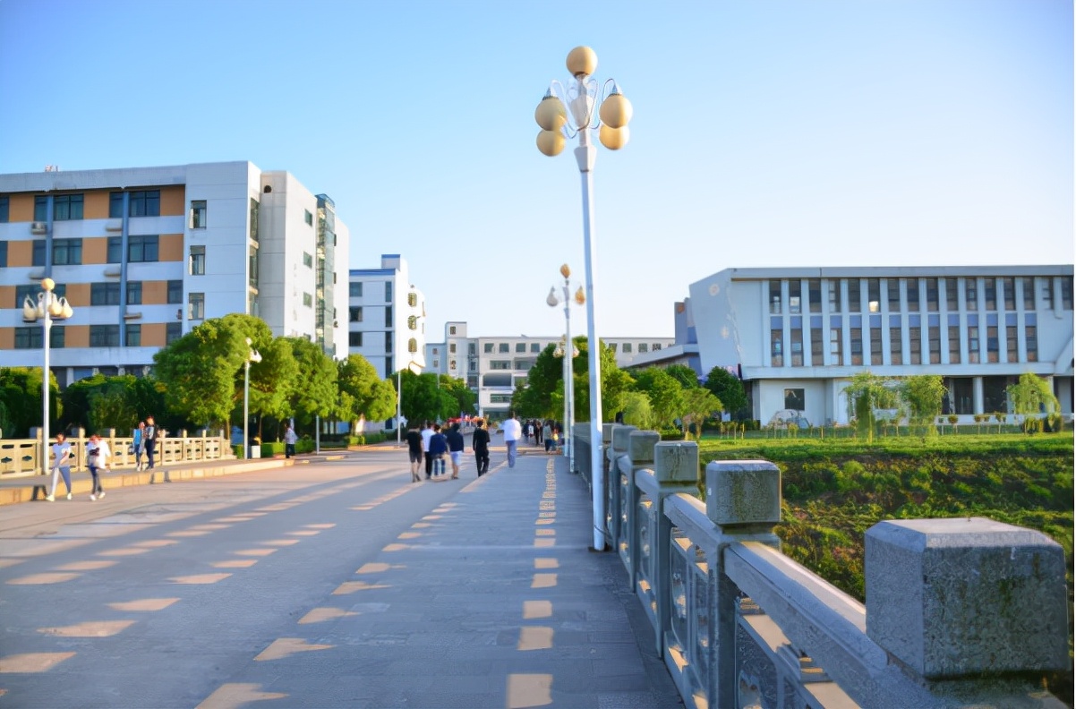 这所竞争力强学费低的民办高校，2021年艺术类专业录取数据分析