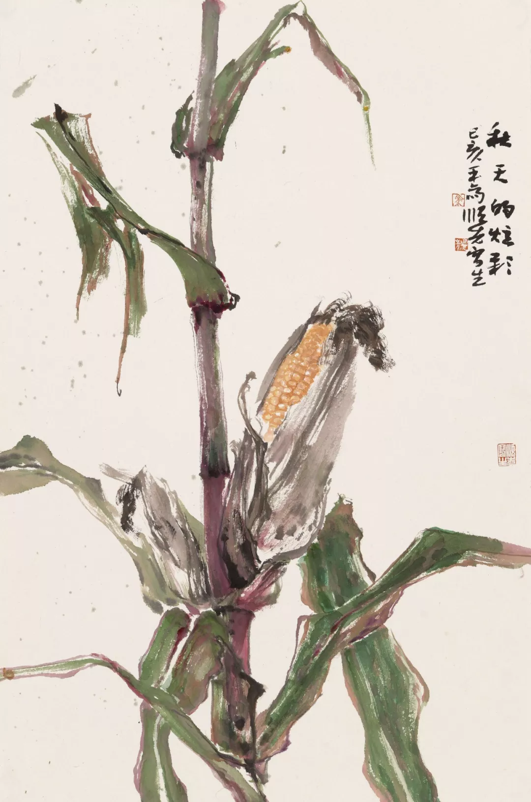 田野畅想曲 | 马顺先的玉米写生