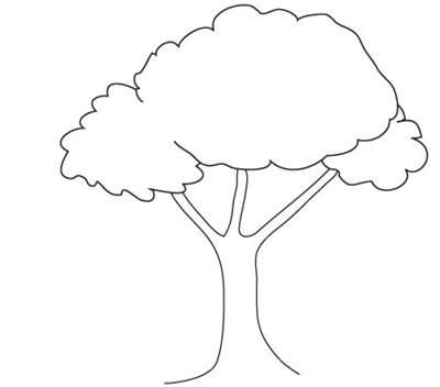 大树简笔画(植物简笔画教程:大树怎么画?五步教你画出参天大树!