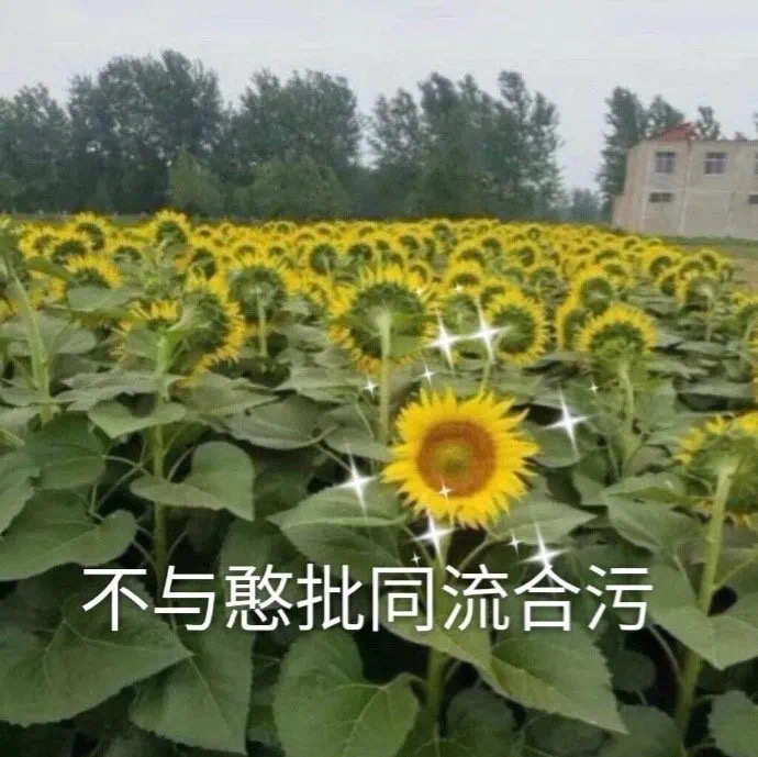 不打扰 是我最后的温柔