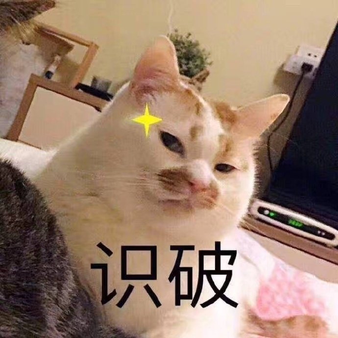 猫咪表情包合集｜无聊到长草