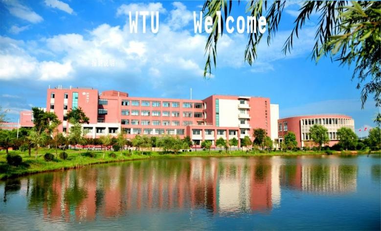 惊艳！央视多次报道！武汉有所高校超千人掌握这项“传统技艺”