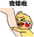 小黄鸡哭唧唧抱大腿表情包合集我错啦
