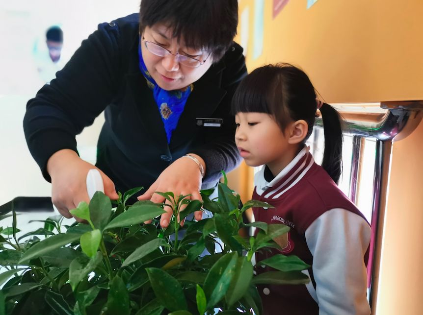 王府学校（运城）以王府特色办学理念，领航三晋地区国际教育发展