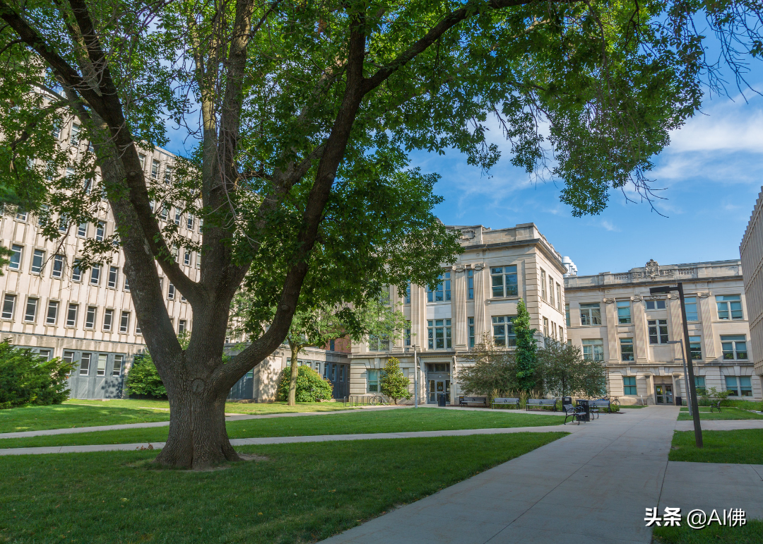 美国最自由的公立大学