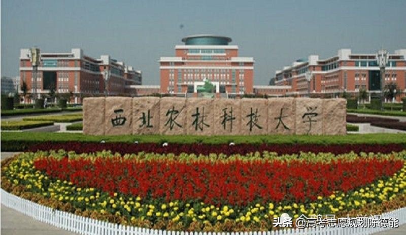二十六所科技大学学科实力排行榜