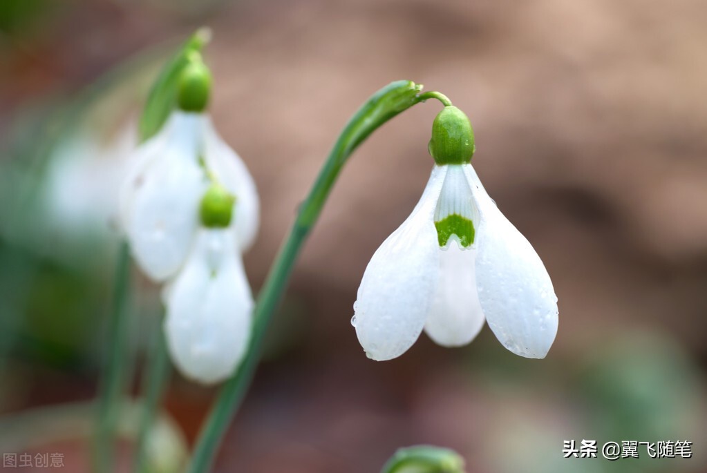写给女儿十四岁的青春寄语