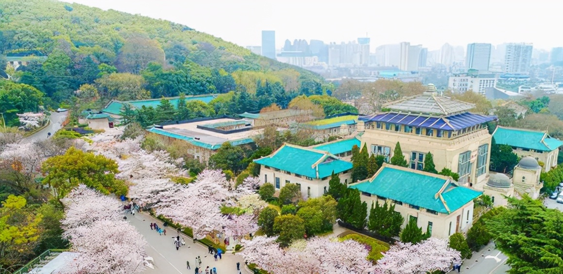 保2争3？10年沉淀，武汉大学有望迎来院士增选大爆发？