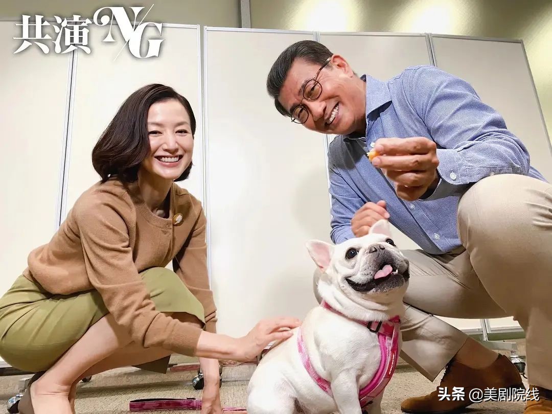 真了不起。看了这个岛上的国剧后，我知道了演艺圈是多么的混乱。