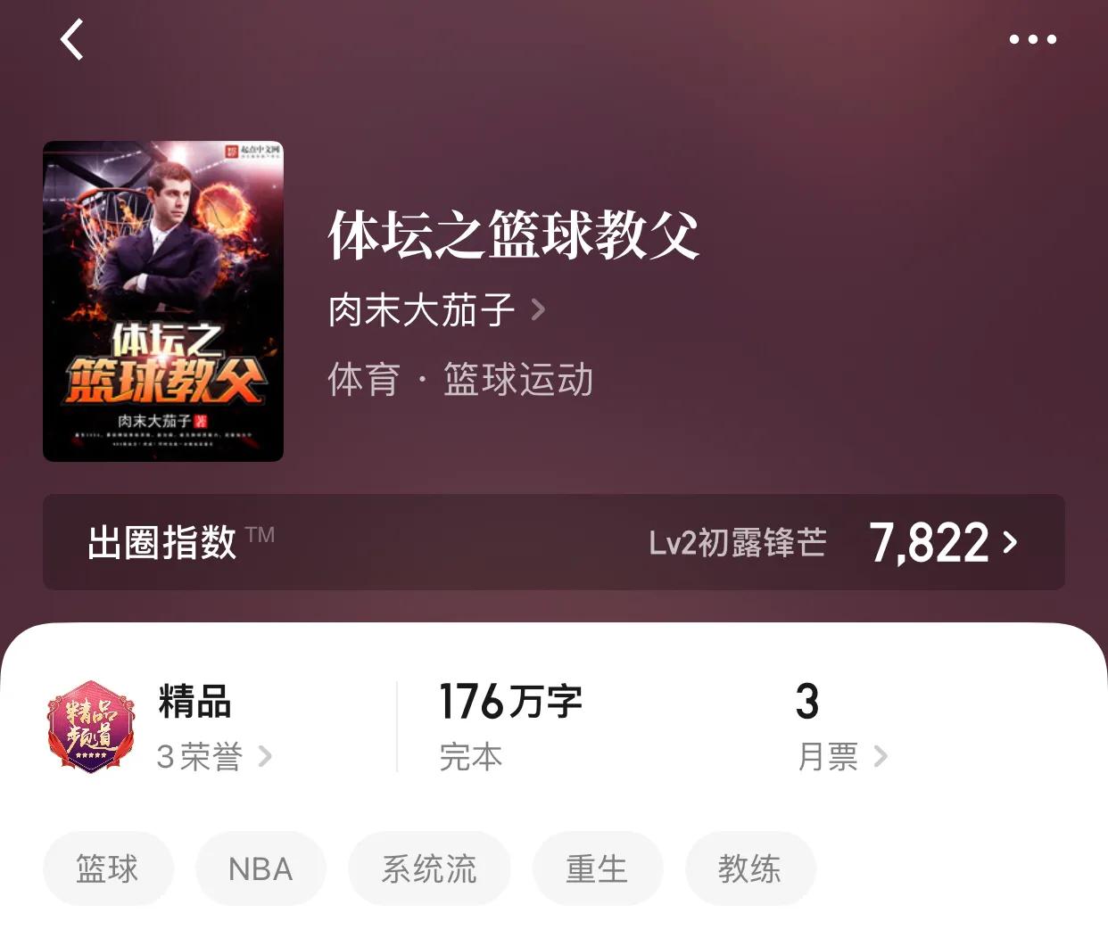 几本篮坛小说，在故事中我们看不到逝去，看到的是重新的辉煌