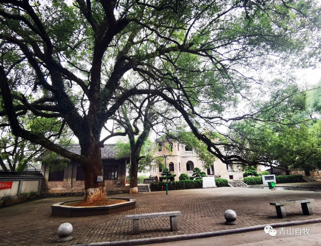 在湘西南,曾有一所黄埔军校第二分校