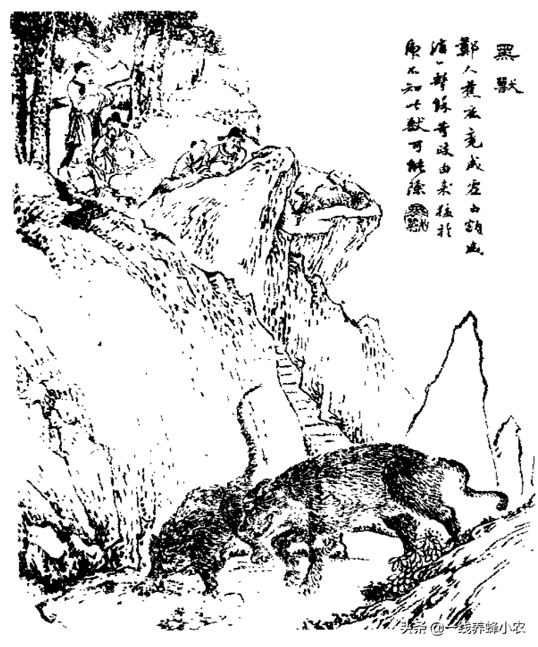五羖大夫 黑兽 酆都御史