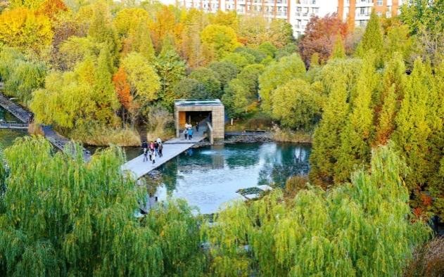 河南“男神学霸”：奖学金拿到手软，北大等8所“双一流大学”抢着要！