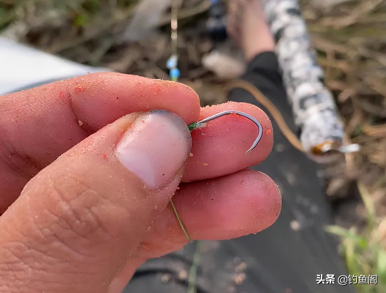 鱼线与鱼钩的正确连接方法及钓鱼技巧揭秘