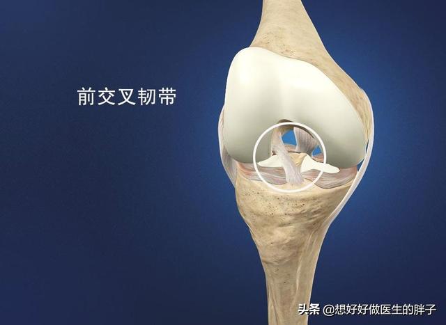 走走路突然膝盖就软了，要摔倒，还疼，是啥情况？医生详细告诉您
