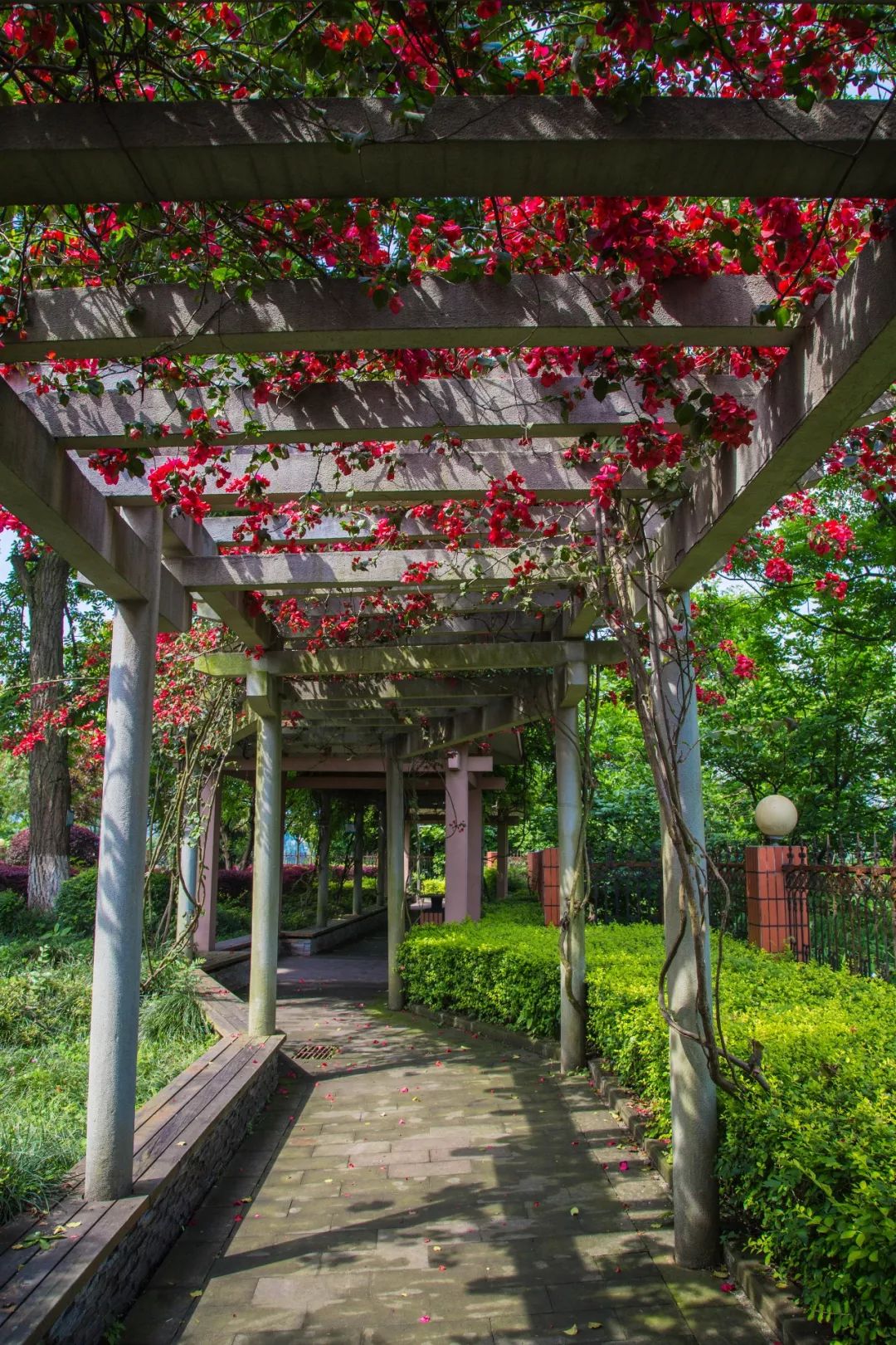 西大附中来了！学校环境、办学规模、师资力量大盘点