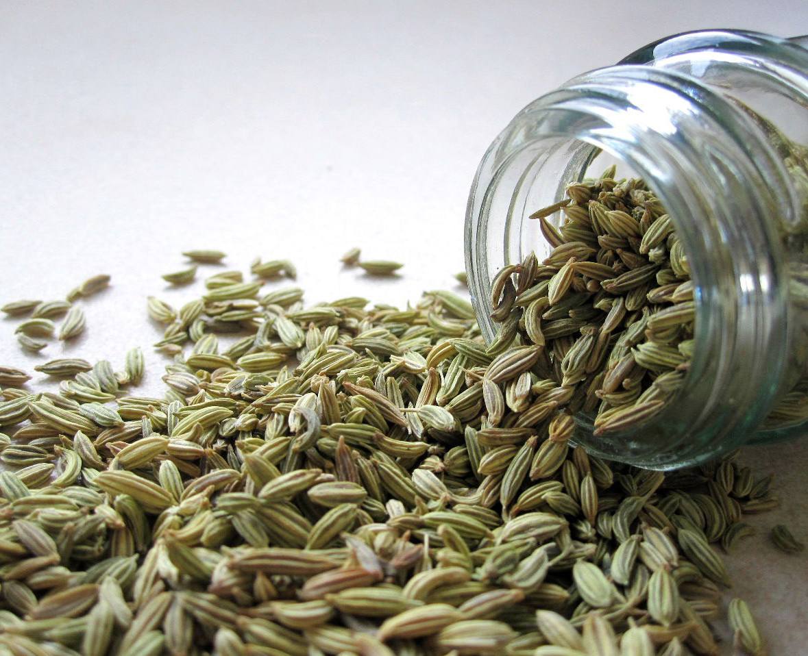 茴香的药用价值