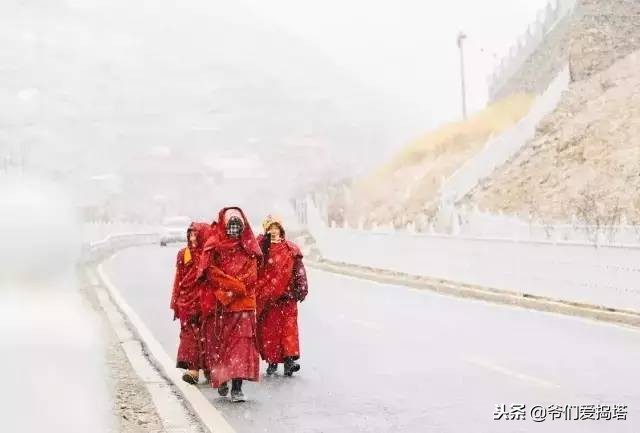 红墙，白雪，琉璃瓦，大雪压青松