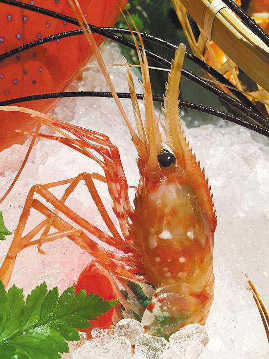 这么多虾都叫“牡丹虾”，那牡丹虾到底是谁？