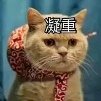 “猫癣”——传染力强到连人都不放过，顽固难治愈，该如何治疗？