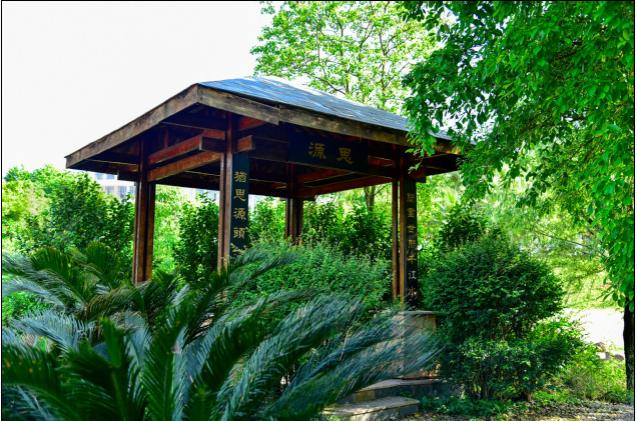 这3所“二本师范大学”报考难度较低，实力也不错，业内口碑挺好