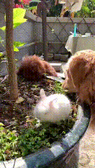 搞笑合集：为什么去学校犯困？因为学校是梦开始的地方，没毛病