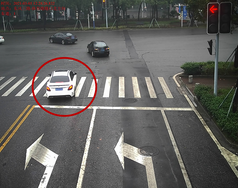 交通违法曝光！