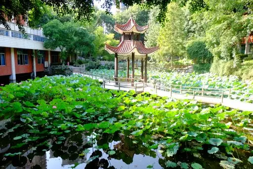 这所行事低调却成绩华丽的名校，他值得被爱