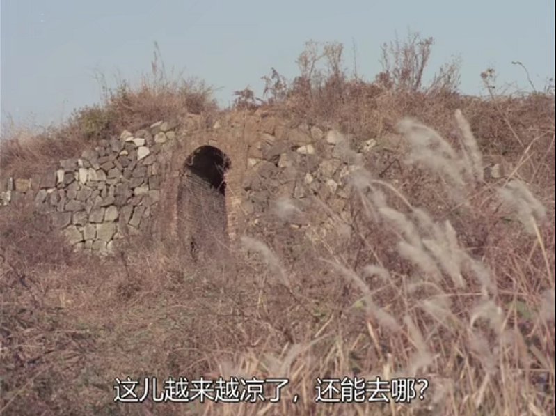 研究50部性变态电影拍摄而成却被禁映？《菊豆》的艺术被误解太深