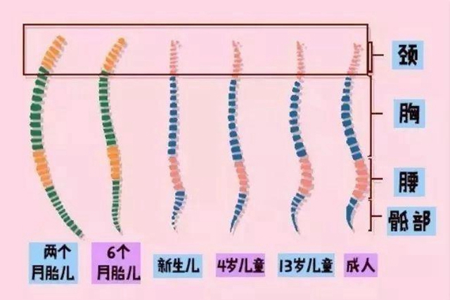 婴儿几个月能坐稳（宝宝什么时候开始学坐）