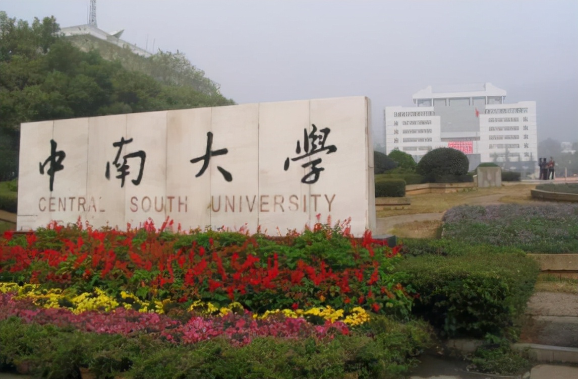 中南大学3位女教授火了，颜值极高且才华出众，网友：全能女神