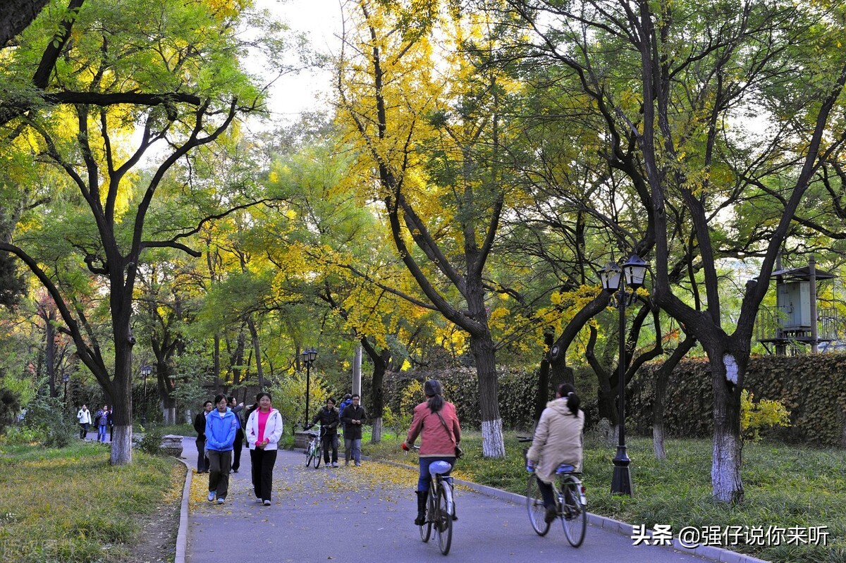 甘肃考生481分“捡漏”北交大，看到学费后，全家人却高兴不起来