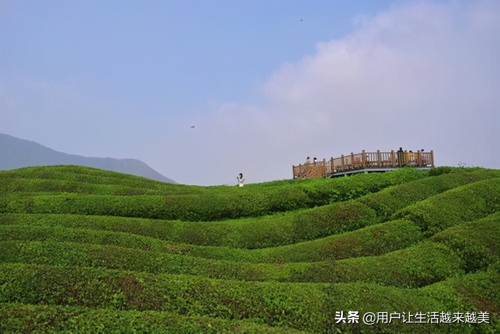 景德镇真是一个美丽的地方