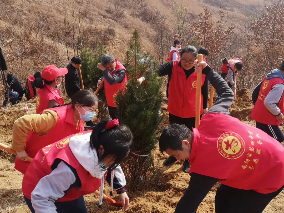 南阳市第四中学师生志愿者参加植树活动